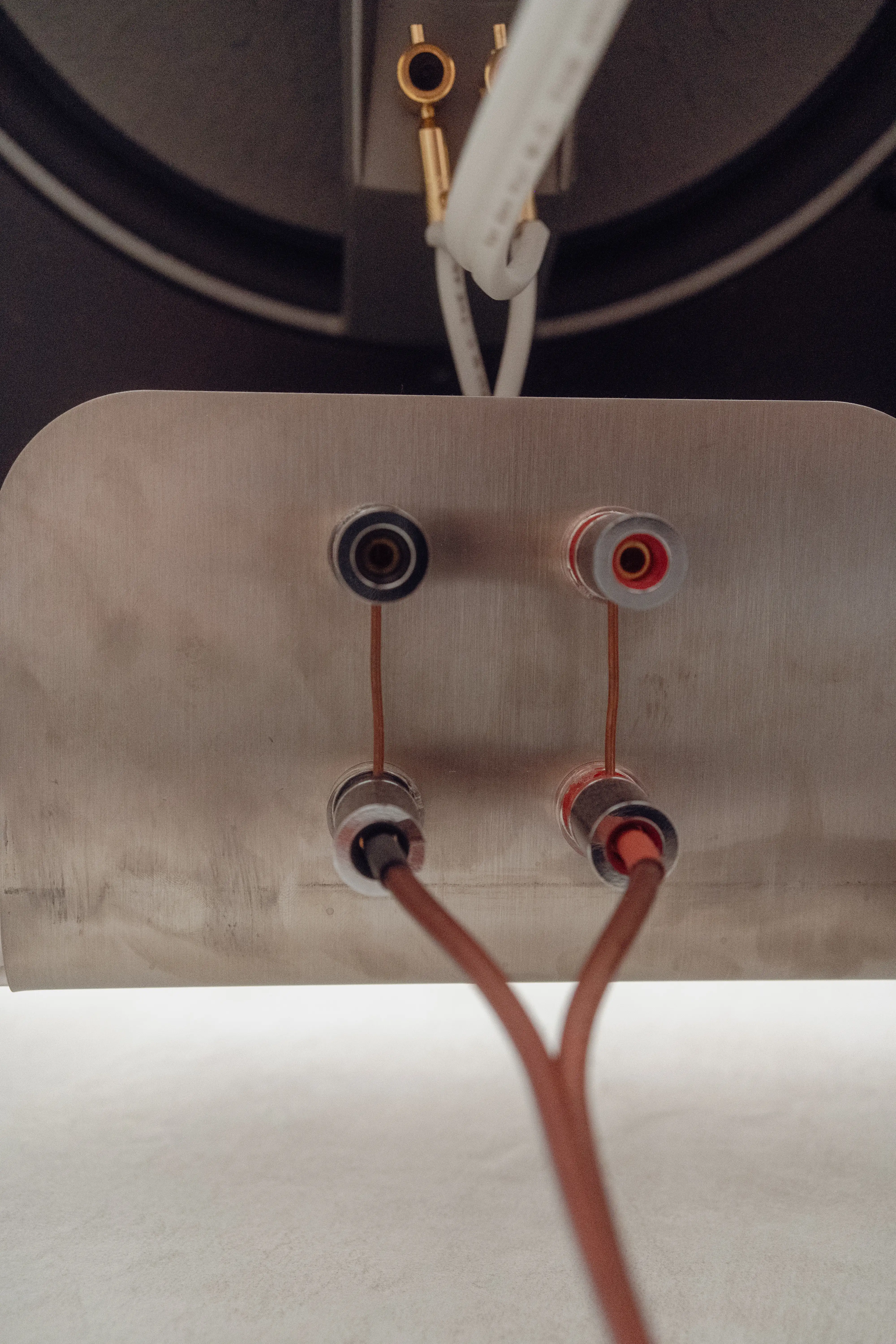 Dual binding-post plate on the back of the baffle — two pairs of red/black posts, bi-amp-ready, with copper speaker cable connected to the lower pair.